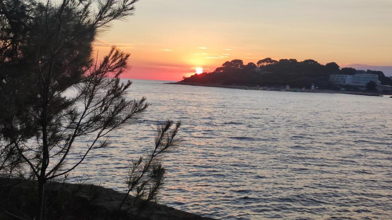Parenzo Premium Apartment Poreč Zewnętrze zdjęcie